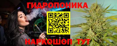 гашик Старая Купавна