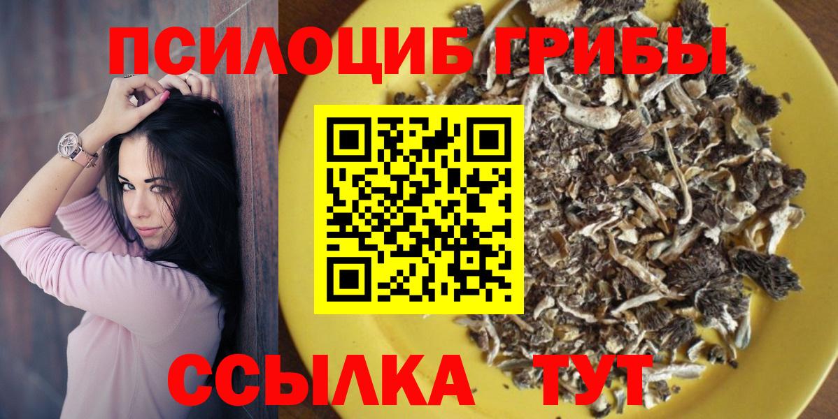 Галлюциногенные грибы Psilocybine cubensis Реутов