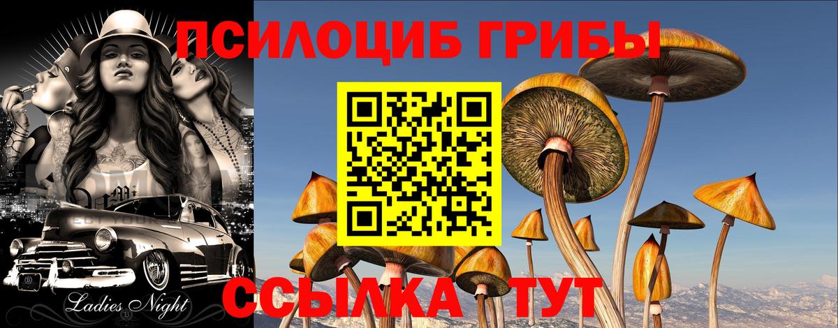 Галлюциногенные грибы прущие грибы  Галлюциногенные грибы MAGIC MUSHROOMS  Вход с VPN  Реутов 